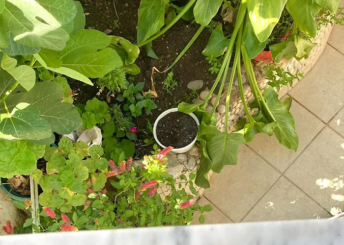 Apartment Kleopatra *